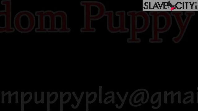 Hot Milf Thinks I'm Her Dog, So She Walks Me On A Leash And Gives Me Rubber Toys