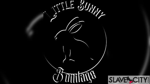 Littlebunnyb 